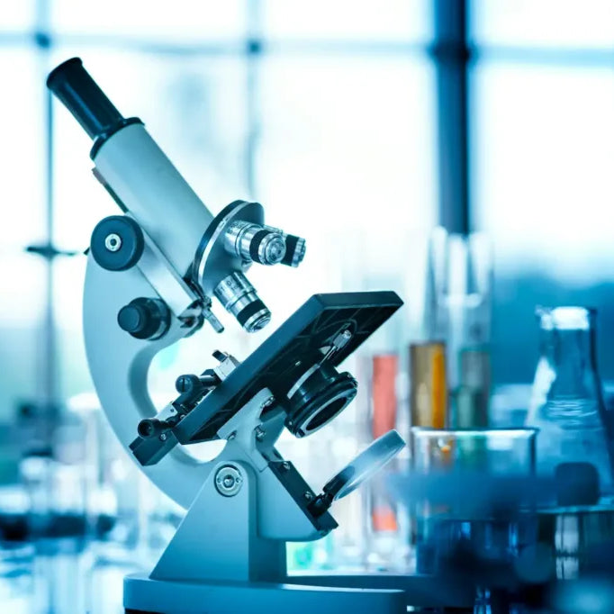 Unveiling the Top 10 Science-Backed Supplements for Peak Health and Performance