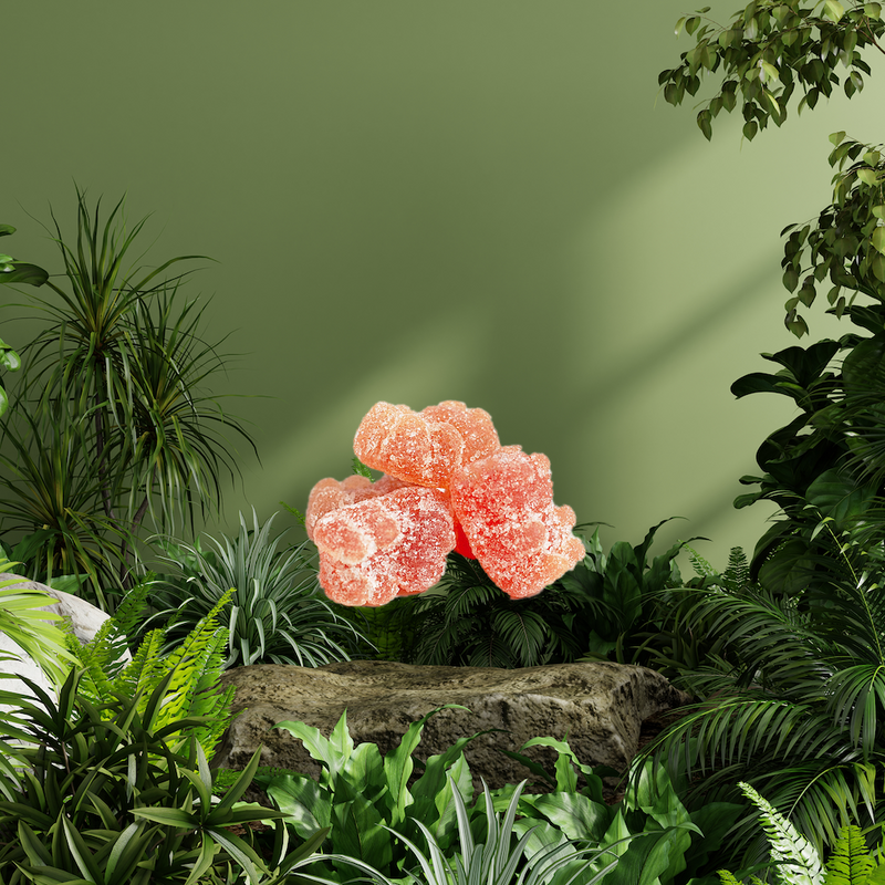 Multivitamin Bear Gummies (Adult)