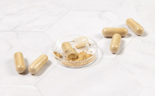 Mushroom Complex 10 X